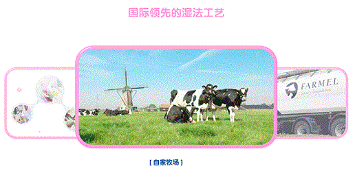 image009.gif