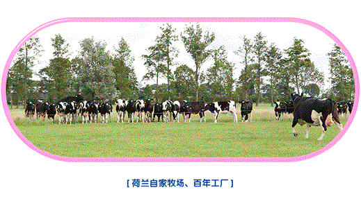 image003.gif